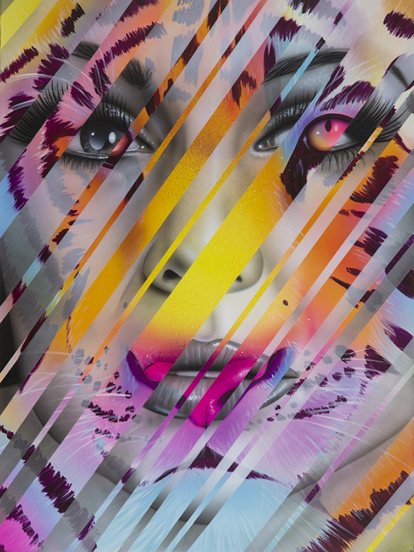 Scott Rohlfs art on display
