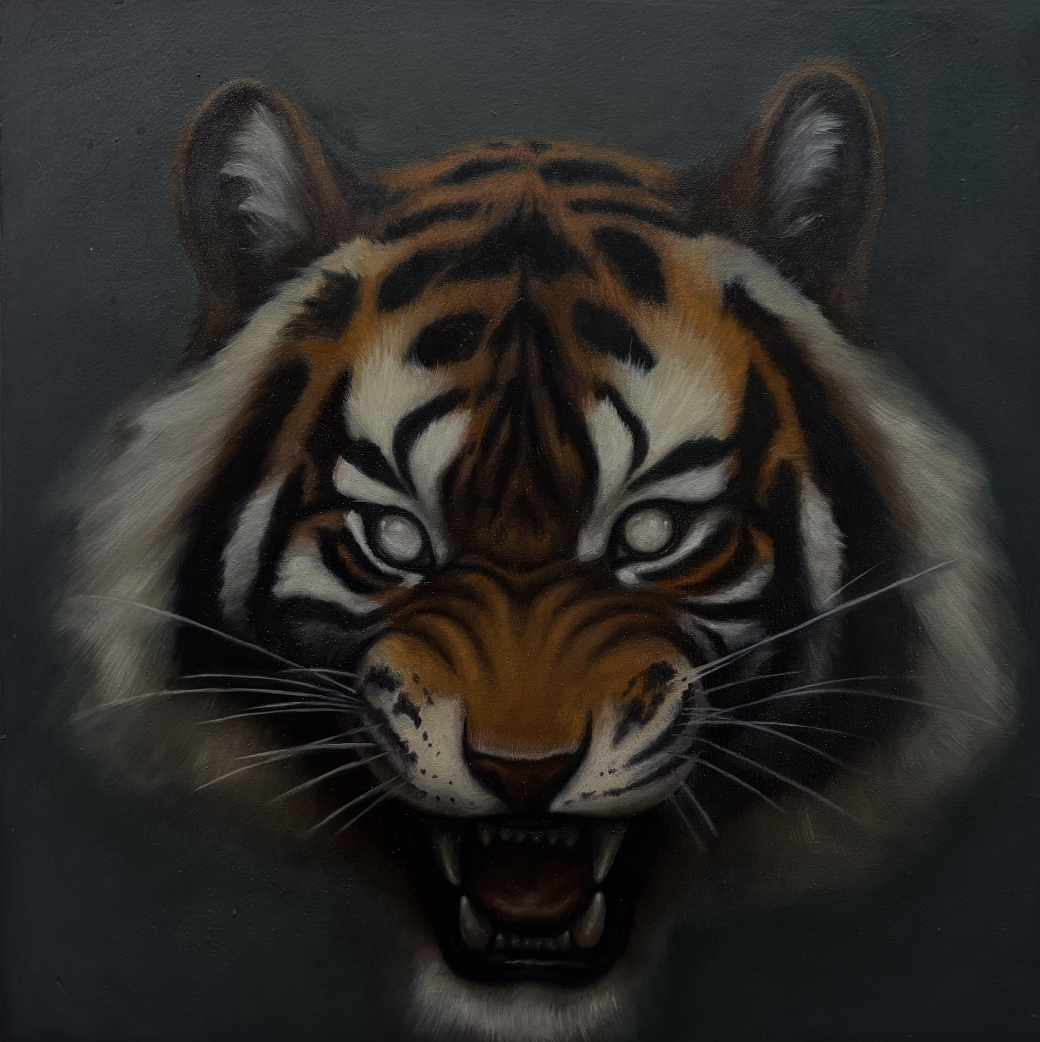 Anima Animalis by Elvin Armando