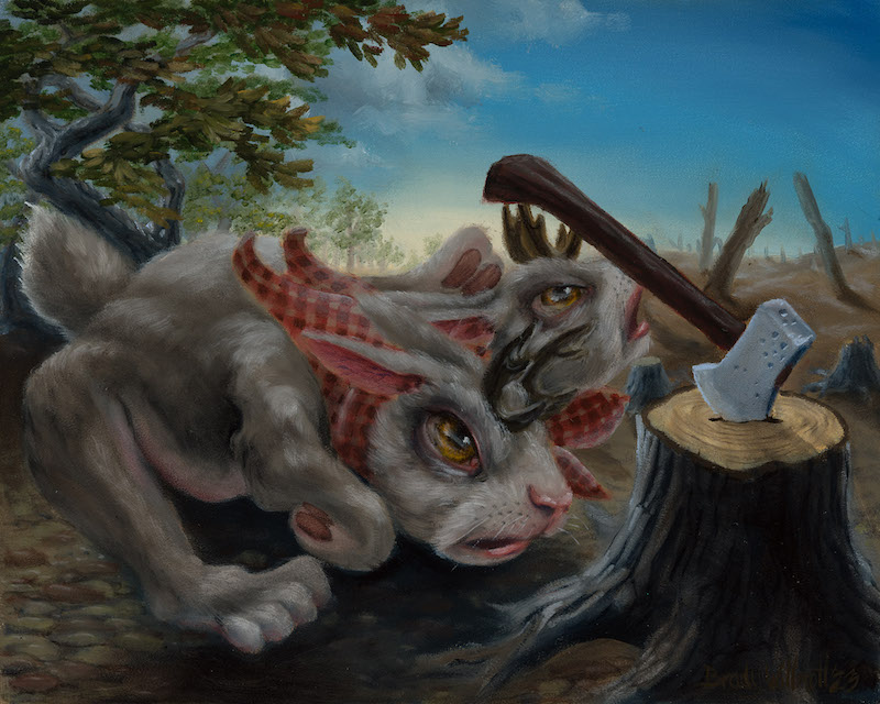 Splitting Hares by Brady Willmott
